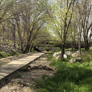 Ecological Connectors