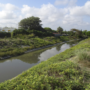 Ámbitos de regeneración