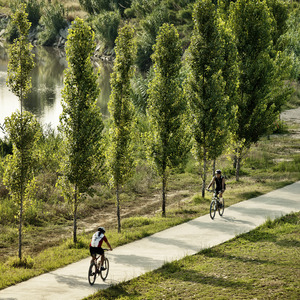 Camins metropolitans