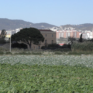 Areas of Agricultural Regeneration